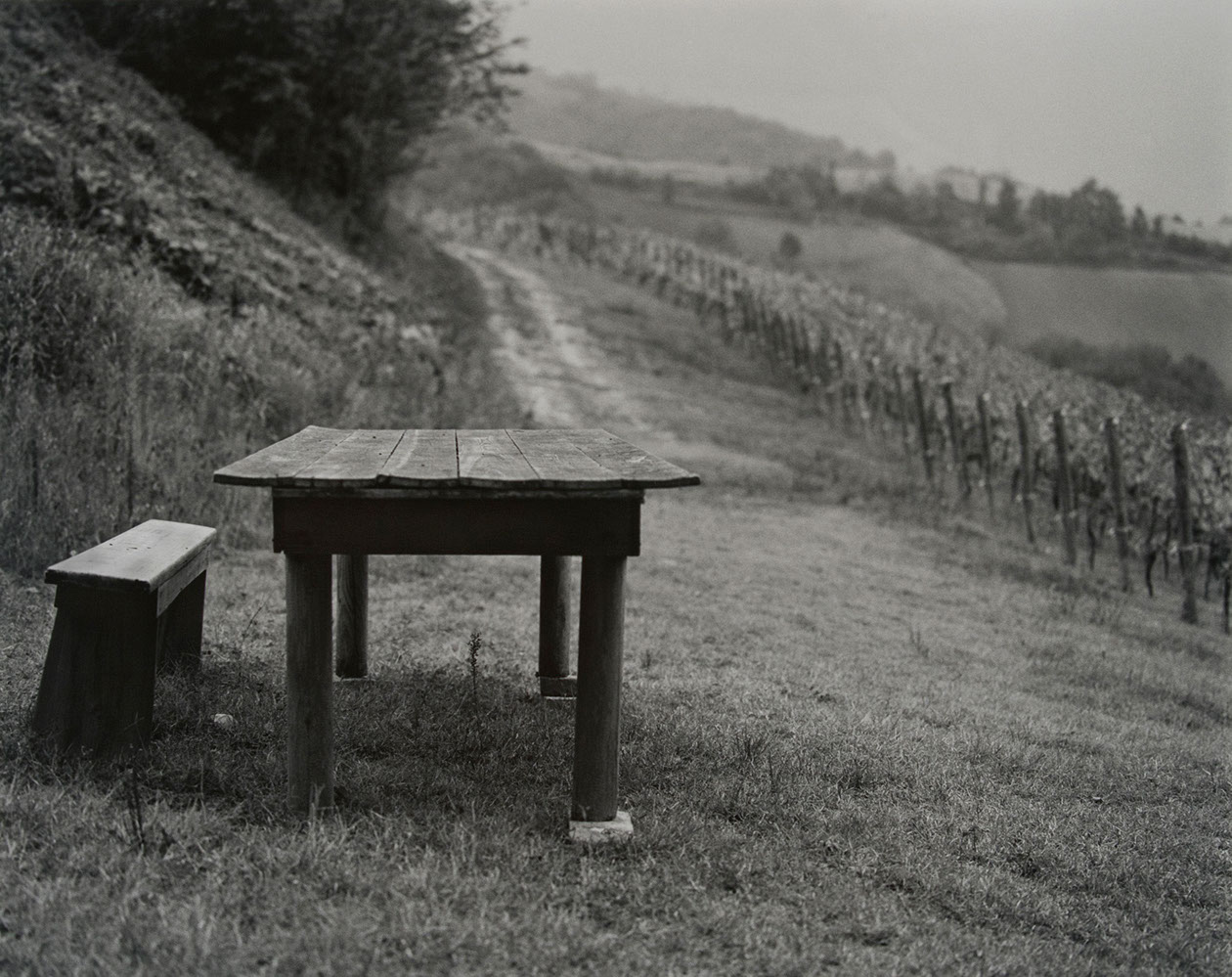 Italian picnic in a vineyard photo